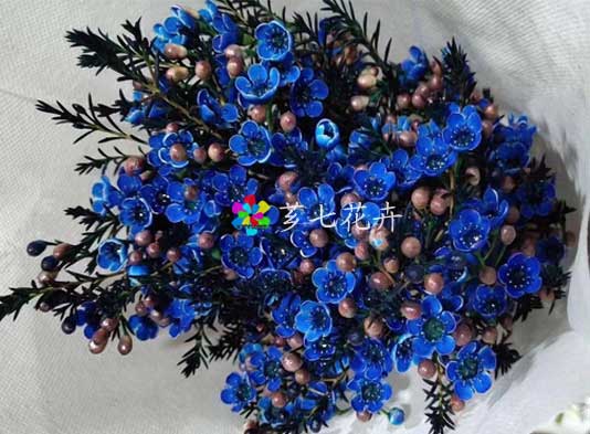 金河鲜花批发网