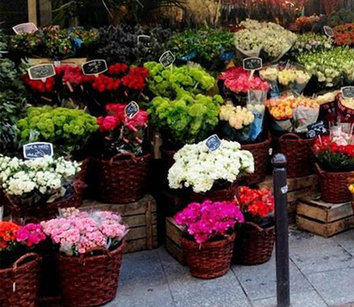 金河鲜花批发网