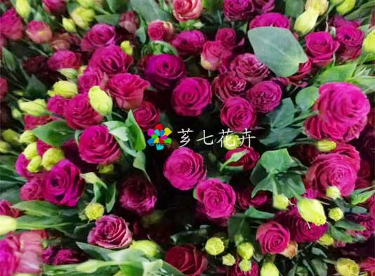 金河鲜花批发网