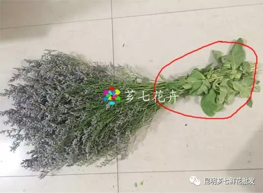 金河鲜花批发网