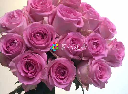 金河鲜花批发网