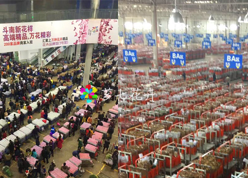 金河鲜花批发网