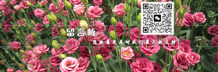 金河花卉留言，客服不在可以跟我留言