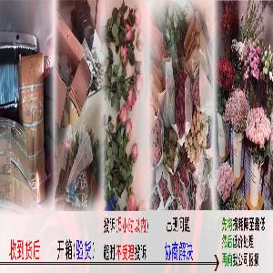 金河花卉售后处理