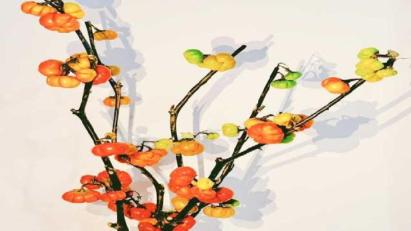 花卉中心小南瓜批发图片展示