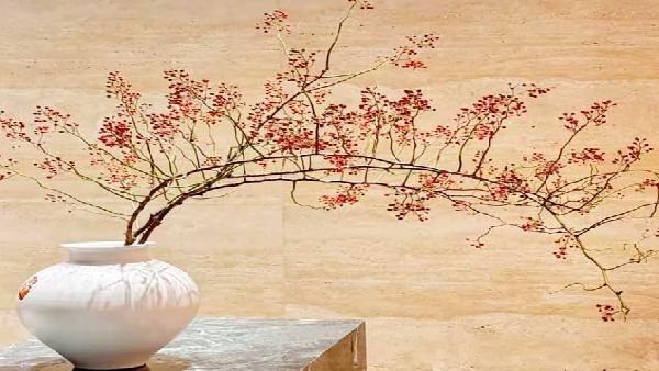 花卉中心山归来红橙批发图片展示