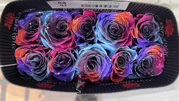 花卉中心喷色星云批发图片展示